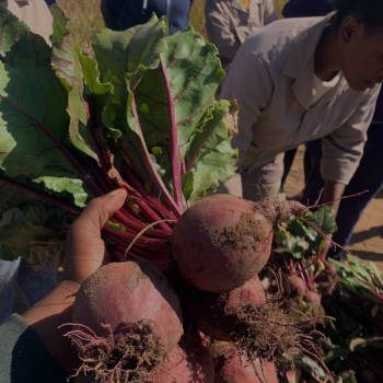 foodsecurity1