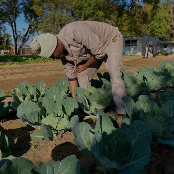 foodsecurity2